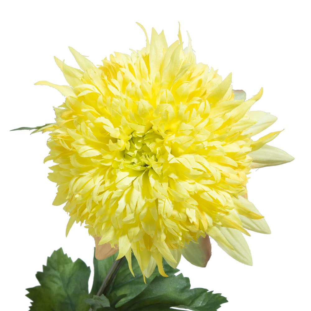 Chrysanthemum H75cm