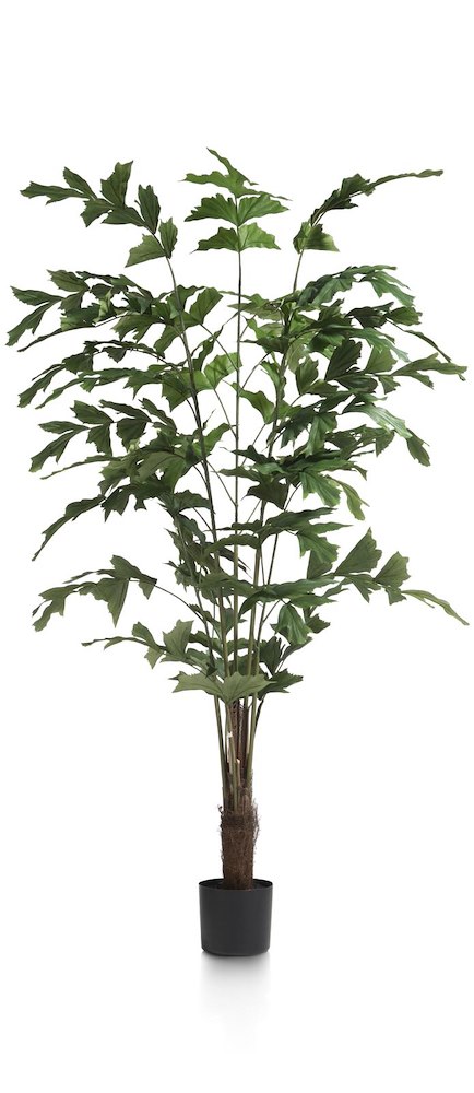 Palm Fishtail Kunstplant H155cm