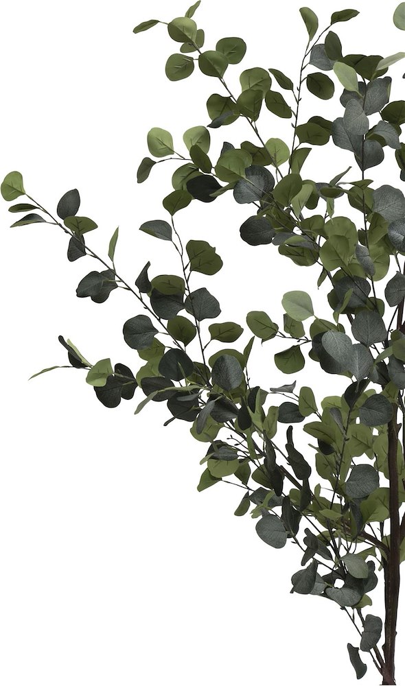 Eucalyptus Tree Kunstplant H180cm