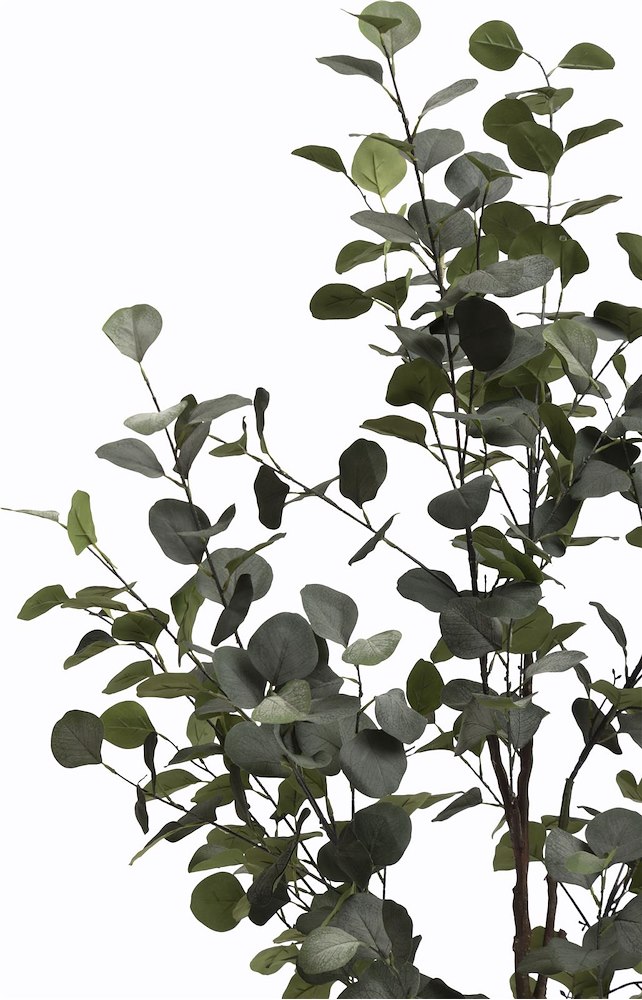 Eucalyptus Tree Kunstplant H140cm