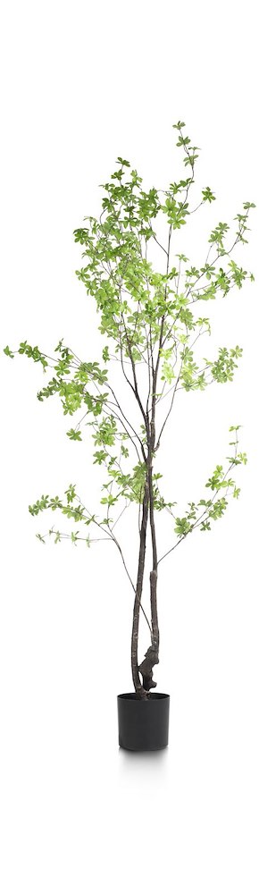 Tropaeolum Kunstplant H210cm