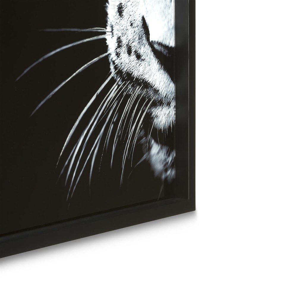Cheetah Fotoschilderij 70X100cm