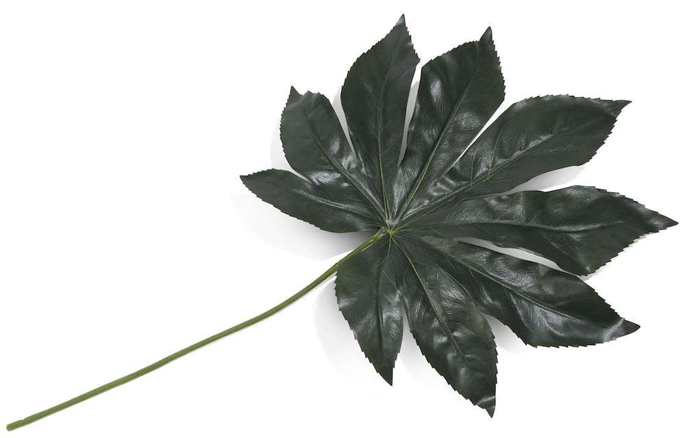 Fatsia Leaf Kunstbloem H55cm