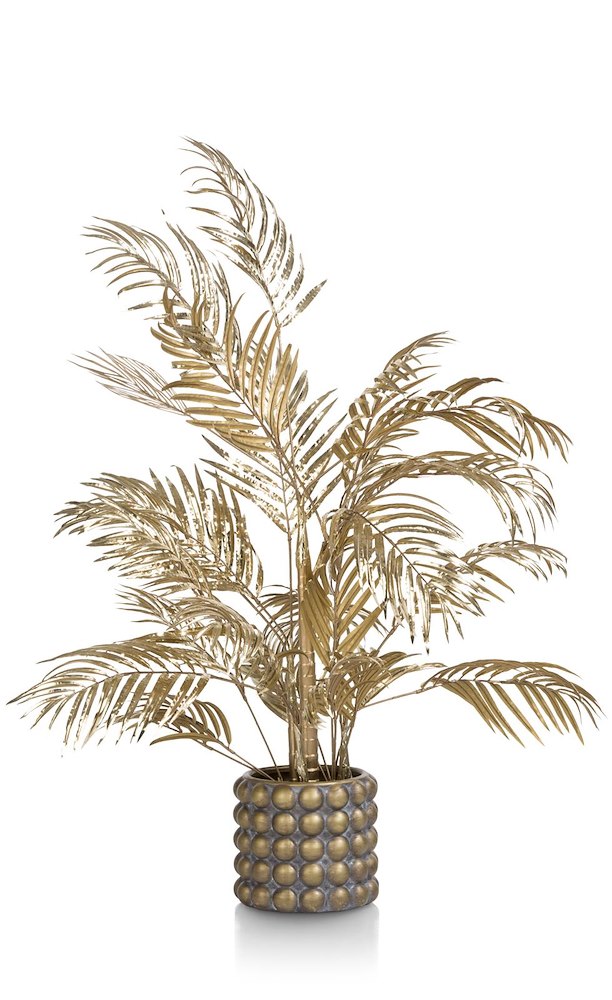 Areca Palm Plant H105cm