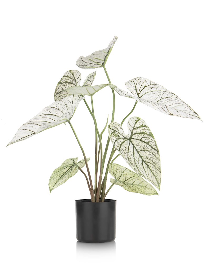 Caladium H60cm Kunstplant