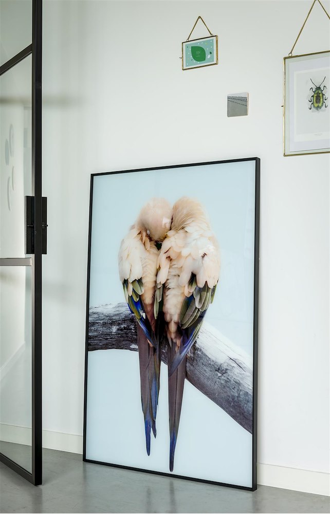 Lovebirds Fotoschilderij 140X90cm