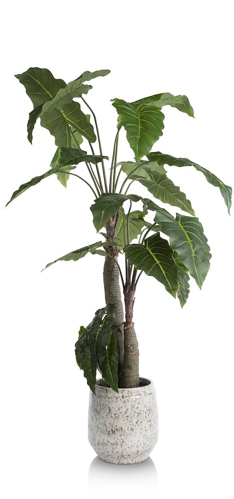 Alocasia Giant Tree H180cm Kunstplant