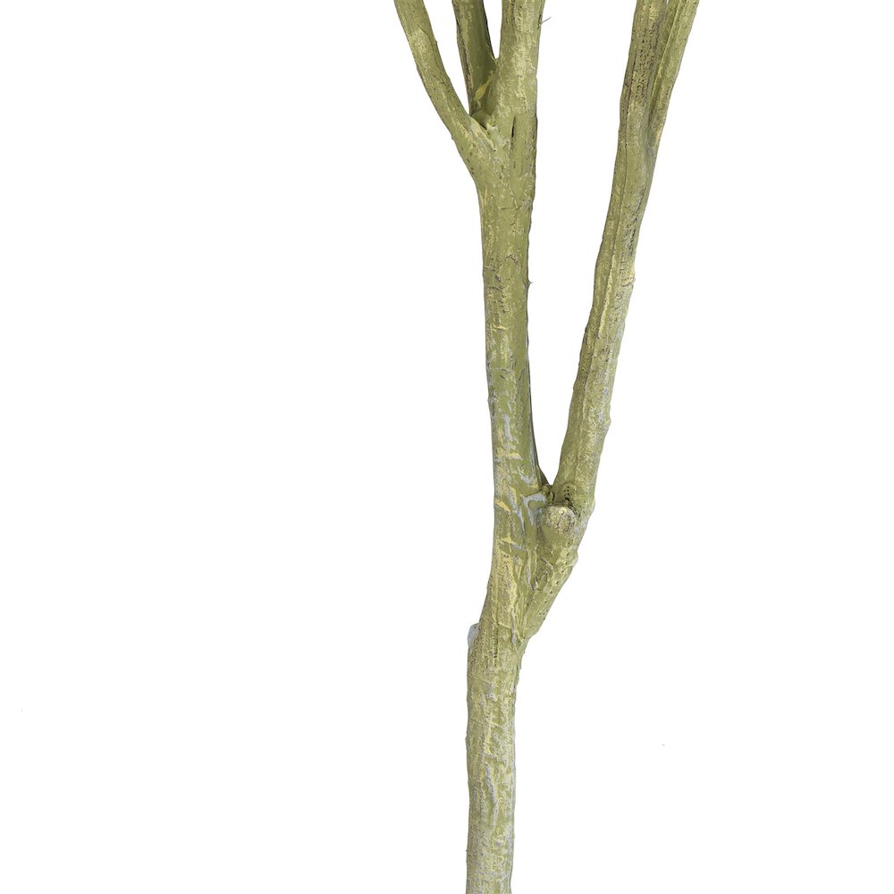 Eucalypthus Tree Plant H195cm