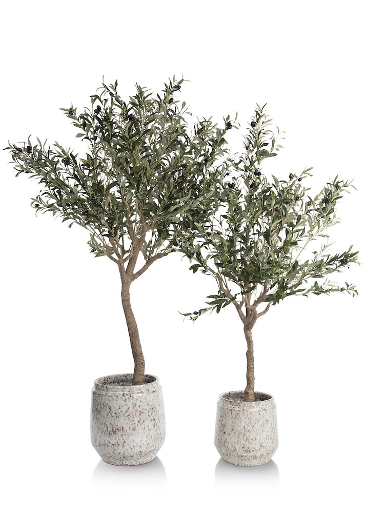 Olive Tree H180cm Kunstplant