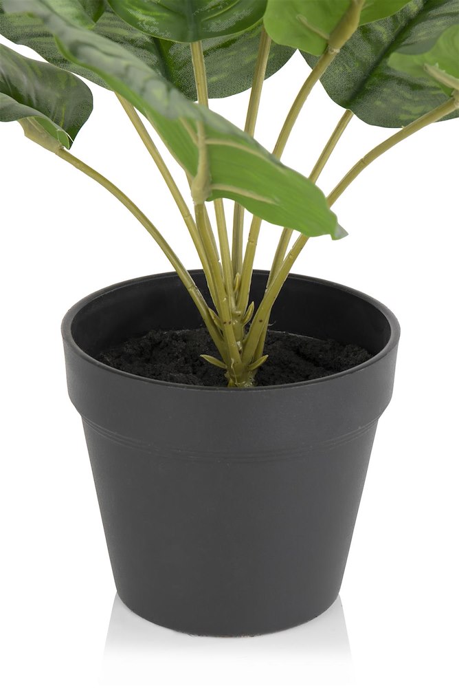 Calathea Orbifolia H45cm Kunstplant