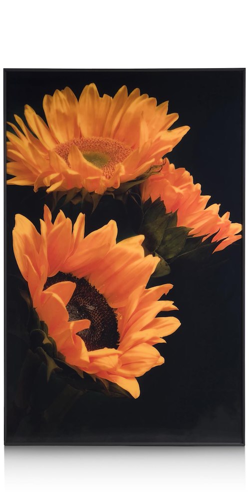 Sunflower Print 90X140cm