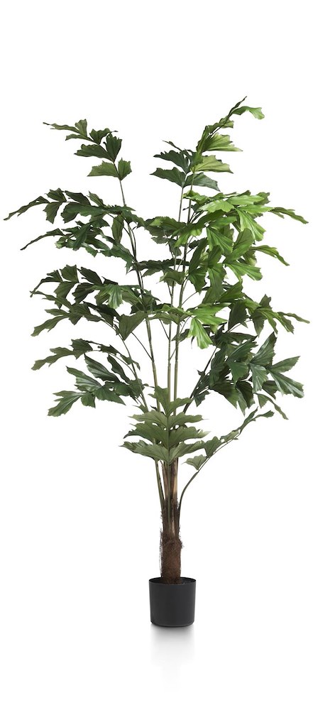 Palm Fishtail Kunstplant H155cm